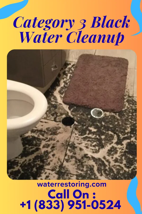 Category 3 Black Water Cleanup in La Platte, NE
